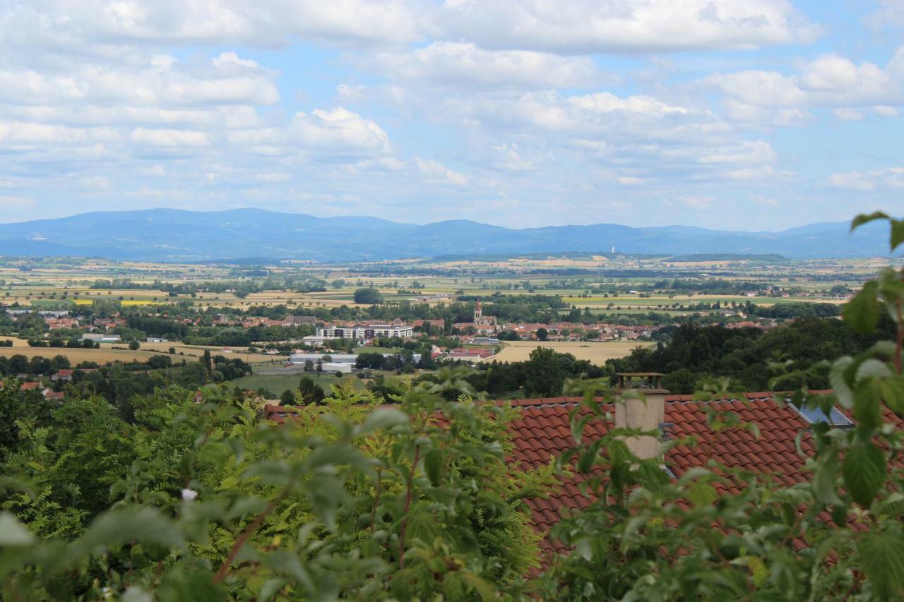"Les Monnats" Gite 8 Personnes A La Campagne Chaptuzat Exterior photo
